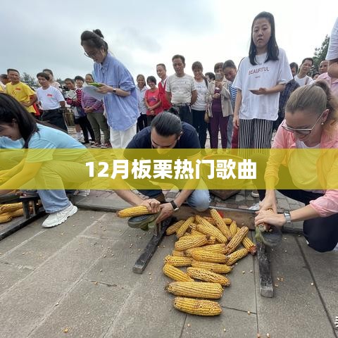 12月板栗之歌，热门曲单大揭秘