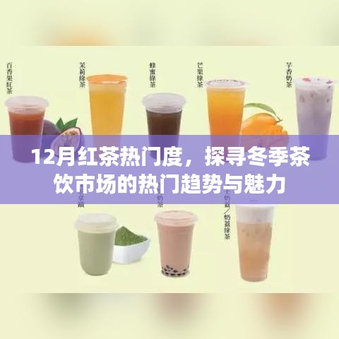 冬季茶饮市场揭秘，红茶热门趋势与魅力探寻