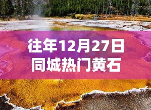 删华就素