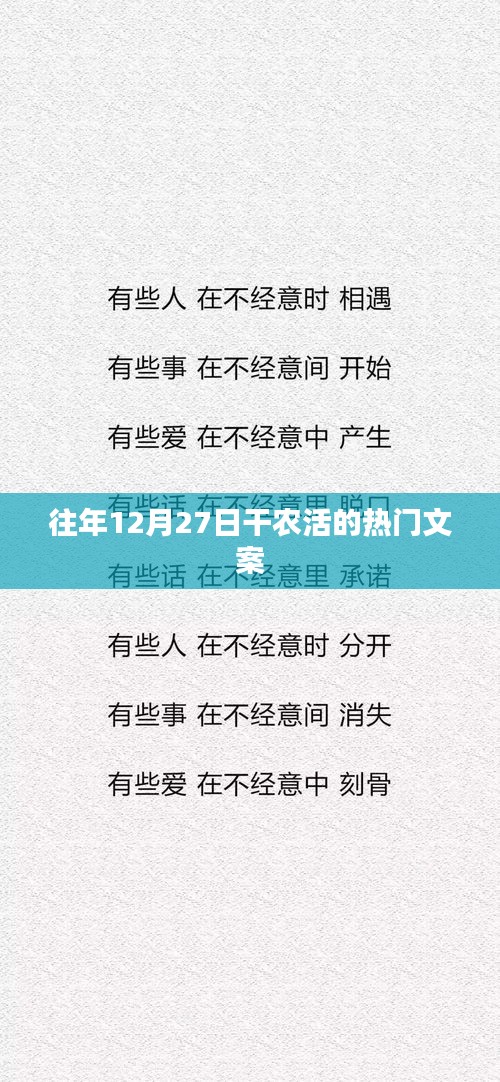 年末冬耕忙，干农活的火热时刻
