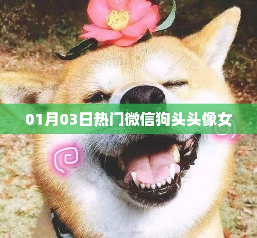 微信热门狗头头像女，时尚潮流之选