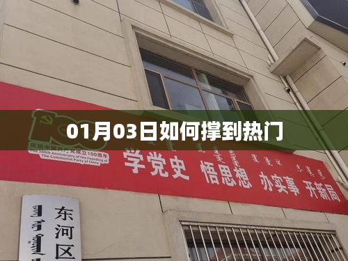 撑到热门秘诀，揭秘如何把握机遇在元旦后崭露头角