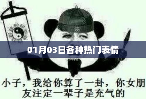 01月03日流行表情汇总