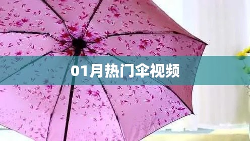 热门伞视频大盘点，一月精选不容错过