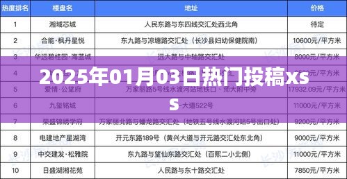 2025年热门投稿xss，最新动态与热点解析