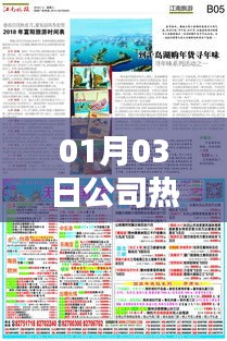 最新公司热门名称榜单（XXXX年1月3日）