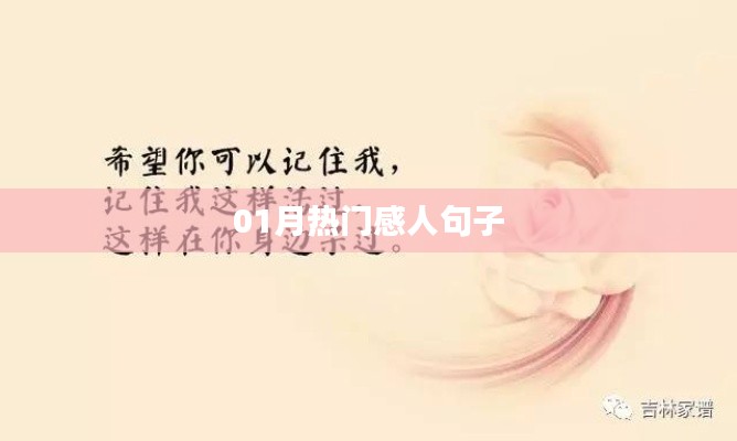 精选感人句子，触动心灵，温暖人心时刻