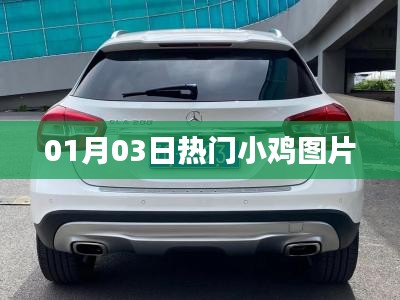 张张屈屈 第2页