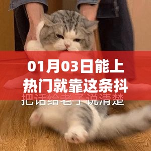 揭秘抖音热门秘诀，掌握这招轻松上热门！