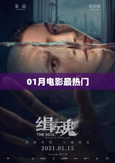 一月电影热门榜单TOP榜