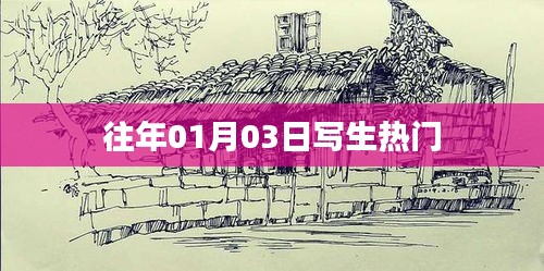 往年元旦后写生热潮涌现
