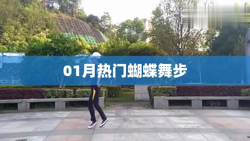 热门蝴蝶舞步，引领潮流新风尚
