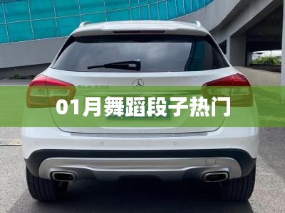 热门舞蹈精选，一月精选舞蹈片段