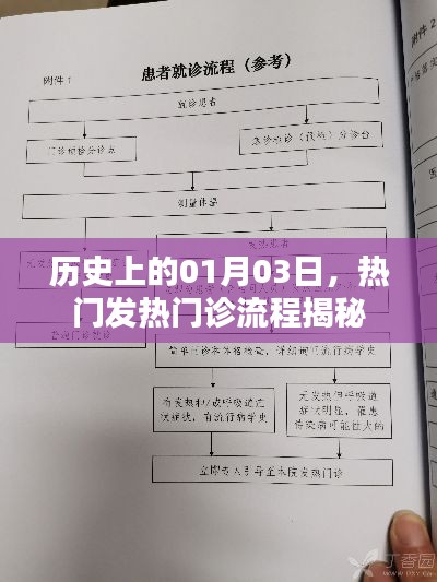 揭秘热门发热门诊流程，历史上的重要日子（日期为01月03日）