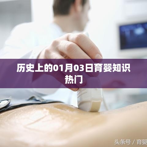 历史上的育婴知识热门事件，一月三日回顾