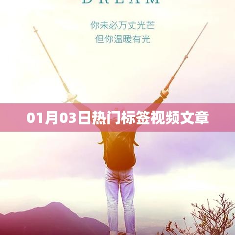 热门标签视频文章概览，最新动态与趋势分析