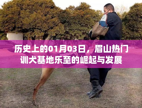 眉山热门训犬基地乐至崛起与成长历程，一月三日回望与展望