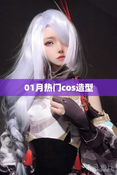 01月热门cosplay造型盘点