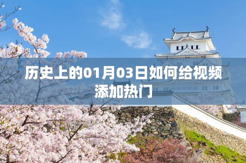 视频热门秘诀，揭秘历史上的01月03日如何吸引观众目光