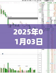 2025年1月热门股票行情深度解析