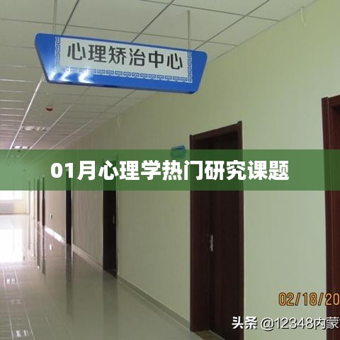 心理学热门课题研究概览