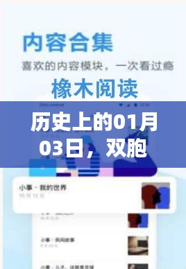 知乎上双胞胎话题掀起热议，历史日期背后的故事揭晓