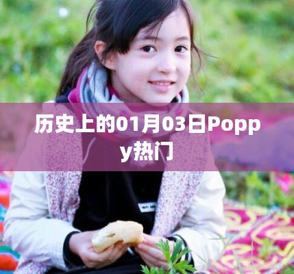 历史上的Poppy热潮，一月三日回望