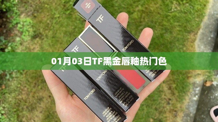 TF黑金唇釉热门色号解析