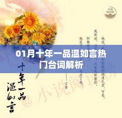 十年一品温如言经典台词解析