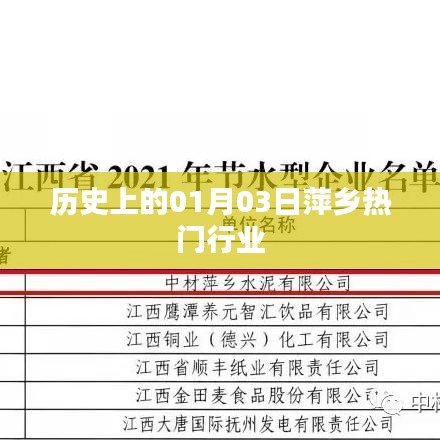 萍乡热门行业历史发展概览，一月三日回顾