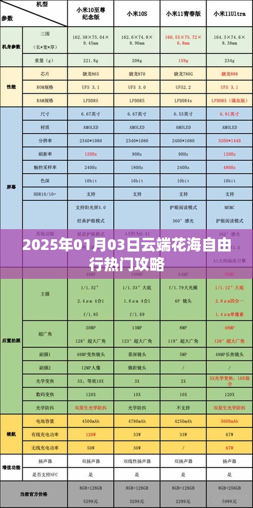 读书三到 第2页
