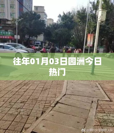 园洲1月3日热点速递