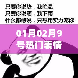 一月二号热门表情包揭秘