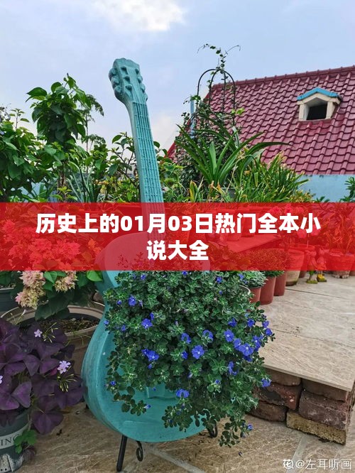 热门全本小说大全，历史上的01月03日回顾
