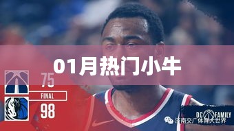热门小牛大盘点，一月精选不容错过