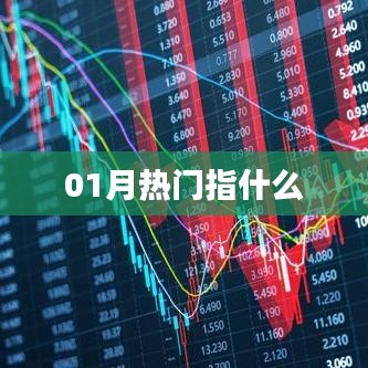01月热门概念详解