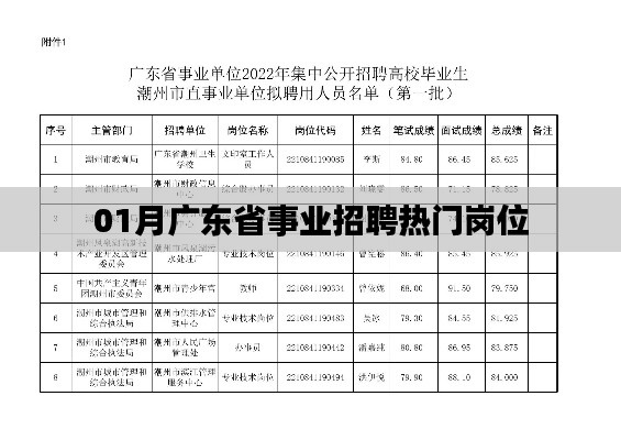 广东省一月份事业招聘热门岗位解析