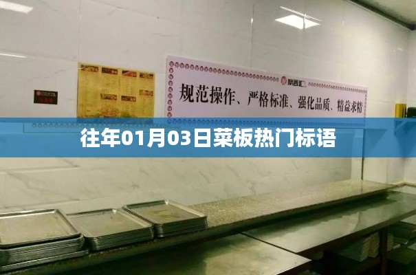 菜板热门标语大盘点，历年精选回顾