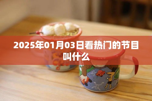 『2025年元旦热门节目大揭秘』