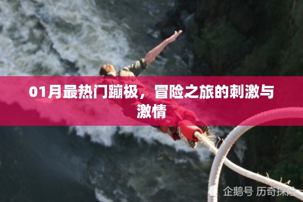 01月热门蹦极冒险之旅，刺激与激情的碰撞