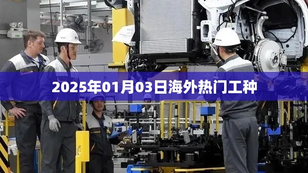 2025年海外热门工种概览