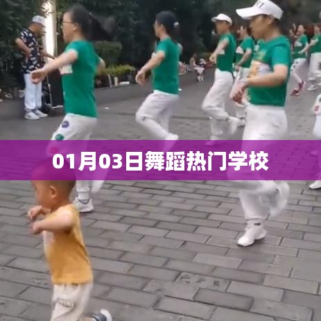 热门舞蹈学校榜单揭晓，01月03日最新动态