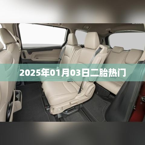 2025年元旦后二胎热点关注