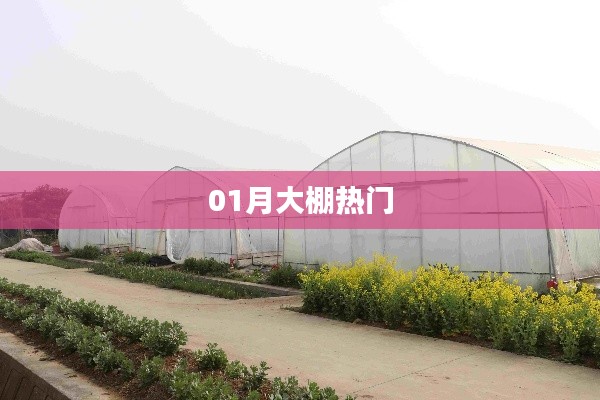 01月大棚热门趋势揭秘
