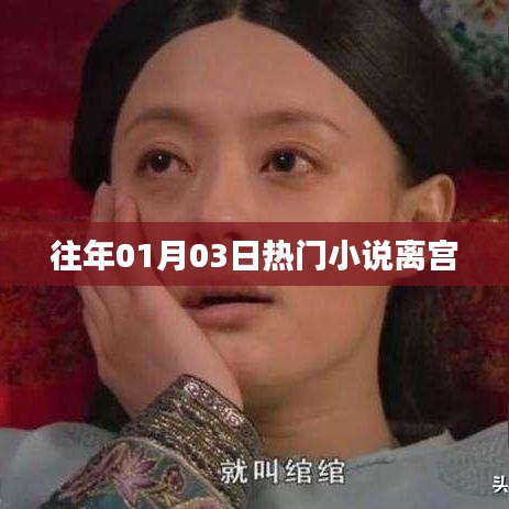 离宫小说，历年一月三日大热之选