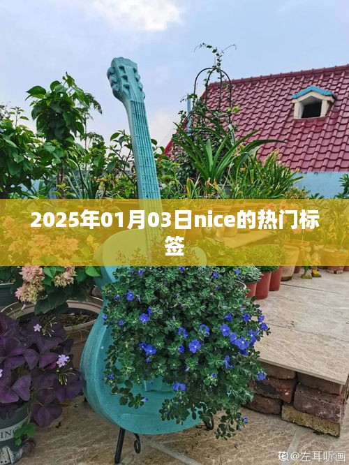 Nice热门标签大揭秘，2025年1月3日潮流风向