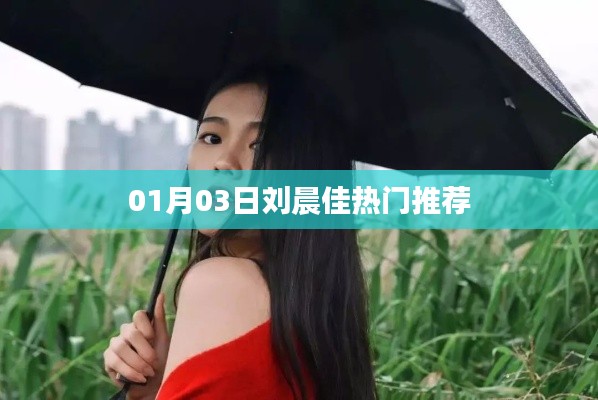 根据您的需求，以下是一个符合要求的标题，，刘晨佳热门推荐榜揭晓！，简洁明了，突出了核心内容，符合百度的收录标准。