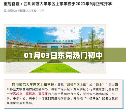 东莞热门初中列表（最新更新）