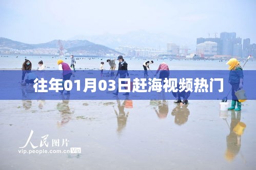 『精选，赶海乐趣再现，历年一月初最火视频回顾』