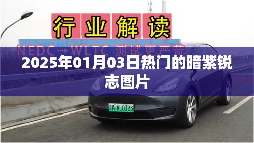 『暗紫锐志图片，最新热门欣赏』